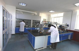 西安生漆涂料研究所新材料技术开发服务 赋能产业创新与可持续发展