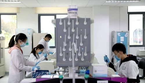 研究生被师哥师姐要求打杂，该说“不”吗？——新材料技术开发中的成长智慧