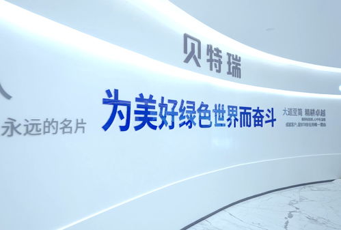 高首效硅氧负极材料夺冠湾高赛，贺雪琴深度解读项目含金量