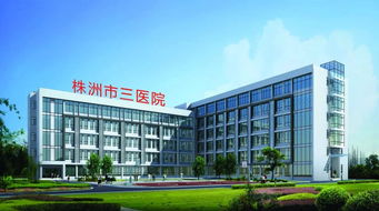 株洲市三医院 微创技术开启新篇章，赋能新材料技术开发服务